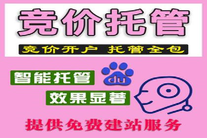 SEM托管公司成功案例：助力企业业绩增长