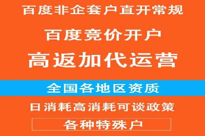SEM托管公司案例分析：实战技巧全解析